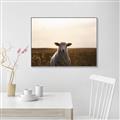 Picture of Grazing Sheep  _GroupedProduct_Rectangle_Landscape_Photography _GroupedProduct_Rectangle_Landscape_Canvas_Framed_