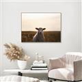 Picture of Grazing Sheep  _GroupedProduct_Rectangle_Landscape_Photography _GroupedProduct_Rectangle_Landscape_Canvas_Framed_