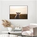 Picture of Grazing Sheep  _GroupedProduct_Rectangle_Landscape_Photography _GroupedProduct_Rectangle_Landscape_Canvas_Framed_