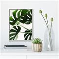 Picture of Green Palms _GroupedProduct_Rectangle_Portrait_Photography _GroupedProduct_Rectangle_Portrait_Canvas_Framed_
