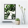 Picture of Green Palms _GroupedProduct_Rectangle_Portrait_Photography _GroupedProduct_Rectangle_Portrait_Canvas_Framed_
