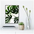 Picture of Green Palms _GroupedProduct_Rectangle_Portrait_Photography _GroupedProduct_Rectangle_Portrait_Canvas_Framed_
