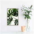 Picture of Green Palms _GroupedProduct_Rectangle_Portrait_Photography _GroupedProduct_Rectangle_Portrait_Canvas_Framed_