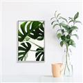 Picture of Green Palms _GroupedProduct_Rectangle_Portrait_Photography _GroupedProduct_Rectangle_Portrait_Canvas_Framed_