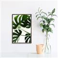 Picture of Green Palms _GroupedProduct_Rectangle_Portrait_Photography _GroupedProduct_Rectangle_Portrait_Canvas_Framed_