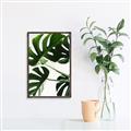 Picture of Green Palms _GroupedProduct_Rectangle_Portrait_Photography _GroupedProduct_Rectangle_Portrait_Canvas_Framed_
