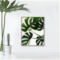 Picture of Green Palms _GroupedProduct_Rectangle_Portrait_Photography _GroupedProduct_Rectangle_Portrait_Canvas_Framed_
