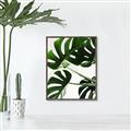 Picture of Green Palms _GroupedProduct_Rectangle_Portrait_Photography _GroupedProduct_Rectangle_Portrait_Canvas_Framed_