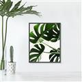Picture of Green Palms _GroupedProduct_Rectangle_Portrait_Photography _GroupedProduct_Rectangle_Portrait_Canvas_Framed_