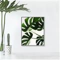 Picture of Green Palms _GroupedProduct_Rectangle_Portrait_Photography _GroupedProduct_Rectangle_Portrait_Canvas_Framed_