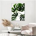 Picture of Green Palms _GroupedProduct_Rectangle_Portrait_Photography _GroupedProduct_Rectangle_Portrait_Canvas_Framed_