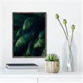 Picture of Greenleaf I _GroupedProduct_Rectangle_Portrait_Photography _GroupedProduct_Rectangle_Portrait_Canvas_Framed_