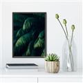 Picture of Greenleaf I _GroupedProduct_Rectangle_Portrait_Photography _GroupedProduct_Rectangle_Portrait_Canvas_Framed_
