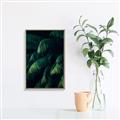 Picture of Greenleaf I _GroupedProduct_Rectangle_Portrait_Photography _GroupedProduct_Rectangle_Portrait_Canvas_Framed_