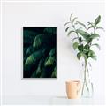 Picture of Greenleaf I _GroupedProduct_Rectangle_Portrait_Photography _GroupedProduct_Rectangle_Portrait_Canvas_Framed_