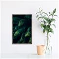 Picture of Greenleaf I _GroupedProduct_Rectangle_Portrait_Photography _GroupedProduct_Rectangle_Portrait_Canvas_Framed_