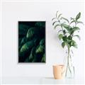 Picture of Greenleaf I _GroupedProduct_Rectangle_Portrait_Photography _GroupedProduct_Rectangle_Portrait_Canvas_Framed_