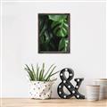 Picture of Greenleaf II _GroupedProduct_Rectangle_Portrait_Photography _GroupedProduct_Rectangle_Portrait_Canvas_Framed_