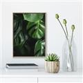 Picture of Greenleaf II _GroupedProduct_Rectangle_Portrait_Photography _GroupedProduct_Rectangle_Portrait_Canvas_Framed_