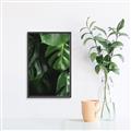 Picture of Greenleaf II _GroupedProduct_Rectangle_Portrait_Photography _GroupedProduct_Rectangle_Portrait_Canvas_Framed_