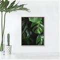 Picture of Greenleaf II _GroupedProduct_Rectangle_Portrait_Photography _GroupedProduct_Rectangle_Portrait_Canvas_Framed_