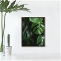Picture of Greenleaf II _GroupedProduct_Rectangle_Portrait_Photography _GroupedProduct_Rectangle_Portrait_Canvas_Framed_