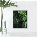 Picture of Greenleaf II _GroupedProduct_Rectangle_Portrait_Photography _GroupedProduct_Rectangle_Portrait_Canvas_Framed_
