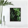 Picture of Greenleaf II _GroupedProduct_Rectangle_Portrait_Photography _GroupedProduct_Rectangle_Portrait_Canvas_Framed_