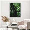 Picture of Greenleaf II _GroupedProduct_Rectangle_Portrait_Photography _GroupedProduct_Rectangle_Portrait_Canvas_Framed_