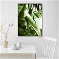 Picture of Greenleaf III _GroupedProduct_Rectangle_Portrait_Photography _GroupedProduct_Rectangle_Portrait_Canvas_Framed_
