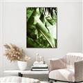 Picture of Greenleaf III _GroupedProduct_Rectangle_Portrait_Photography _GroupedProduct_Rectangle_Portrait_Canvas_Framed_