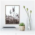 Picture of In the Fields _GroupedProduct_Rectangle_Portrait_Photography _GroupedProduct_Rectangle_Portrait_Canvas_Framed_