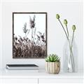 Picture of In the Fields _GroupedProduct_Rectangle_Portrait_Photography _GroupedProduct_Rectangle_Portrait_Canvas_Framed_