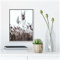 Picture of In the Fields _GroupedProduct_Rectangle_Portrait_Photography _GroupedProduct_Rectangle_Portrait_Canvas_Framed_