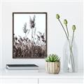 Picture of In the Fields _GroupedProduct_Rectangle_Portrait_Photography _GroupedProduct_Rectangle_Portrait_Canvas_Framed_