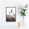 Picture of In the Fields _GroupedProduct_Rectangle_Portrait_Photography _GroupedProduct_Rectangle_Portrait_Canvas_Framed_