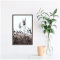 Picture of In the Fields _GroupedProduct_Rectangle_Portrait_Photography _GroupedProduct_Rectangle_Portrait_Canvas_Framed_