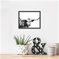Picture of Jackson, The Bull  _GroupedProduct_Rectangle_Landscape_Photography _GroupedProduct_Rectangle_Landscape_Canvas_Framed_