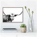 Picture of Jackson, The Bull  _GroupedProduct_Rectangle_Landscape_Photography _GroupedProduct_Rectangle_Landscape_Canvas_Framed_
