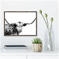 Picture of Jackson, The Bull  _GroupedProduct_Rectangle_Landscape_Photography _GroupedProduct_Rectangle_Landscape_Canvas_Framed_