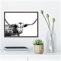 Picture of Jackson, The Bull  _GroupedProduct_Rectangle_Landscape_Photography _GroupedProduct_Rectangle_Landscape_Canvas_Framed_