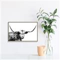 Picture of Jackson, The Bull  _GroupedProduct_Rectangle_Landscape_Photography _GroupedProduct_Rectangle_Landscape_Canvas_Framed_