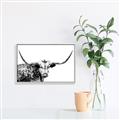 Picture of Jackson, The Bull  _GroupedProduct_Rectangle_Landscape_Photography _GroupedProduct_Rectangle_Landscape_Canvas_Framed_