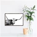 Picture of Jackson, The Bull  _GroupedProduct_Rectangle_Landscape_Photography _GroupedProduct_Rectangle_Landscape_Canvas_Framed_