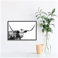 Picture of Jackson, The Bull  _GroupedProduct_Rectangle_Landscape_Photography _GroupedProduct_Rectangle_Landscape_Canvas_Framed_