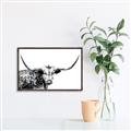 Picture of Jackson, The Bull  _GroupedProduct_Rectangle_Landscape_Photography _GroupedProduct_Rectangle_Landscape_Canvas_Framed_