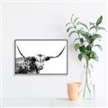 Picture of Jackson, The Bull  _GroupedProduct_Rectangle_Landscape_Photography _GroupedProduct_Rectangle_Landscape_Canvas_Framed_