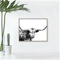 Picture of Jackson, The Bull  _GroupedProduct_Rectangle_Landscape_Photography _GroupedProduct_Rectangle_Landscape_Canvas_Framed_