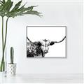 Picture of Jackson, The Bull  _GroupedProduct_Rectangle_Landscape_Photography _GroupedProduct_Rectangle_Landscape_Canvas_Framed_