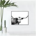 Picture of Jackson, The Bull  _GroupedProduct_Rectangle_Landscape_Photography _GroupedProduct_Rectangle_Landscape_Canvas_Framed_